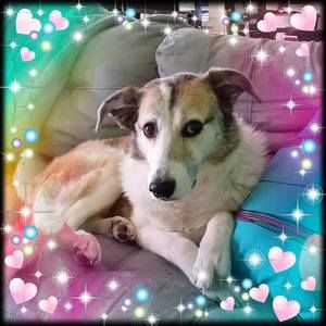 Meet your Posher, Hella